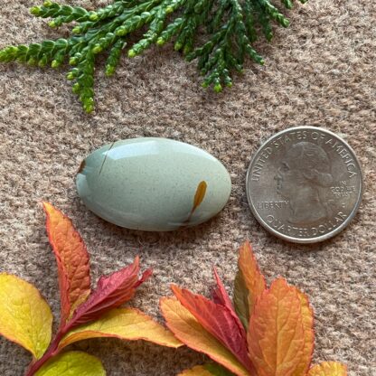 Owyhee Jasper