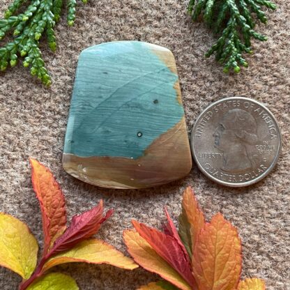 Gary Green Jasper