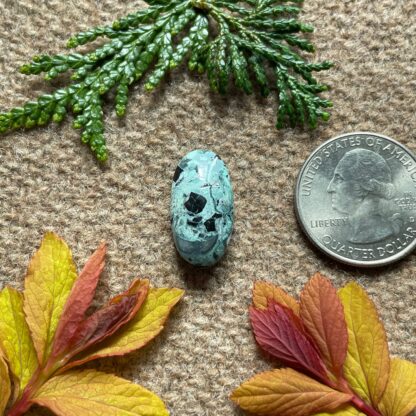 Mystic Sage Variscite