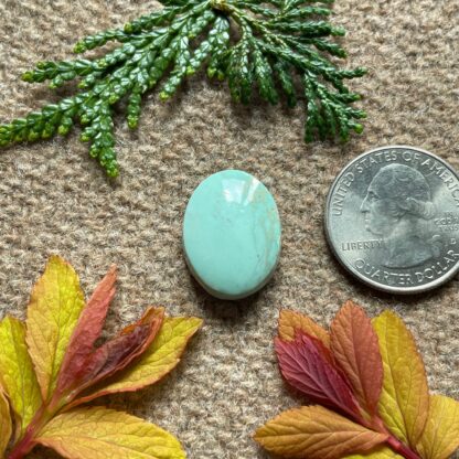 Broken Arrow Variscite