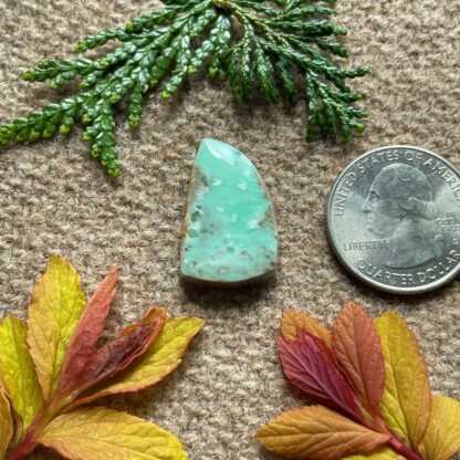 Australian Variscite