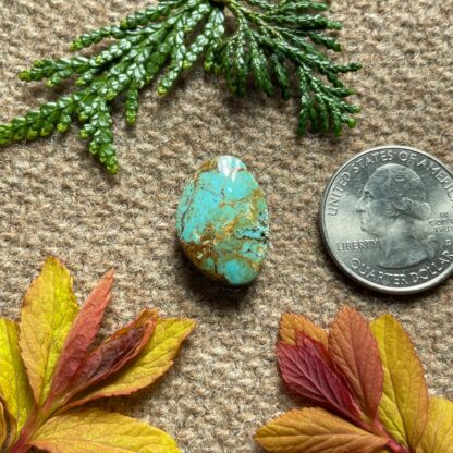 Unknown Turquoise