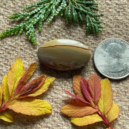 Wildhorse Picture Jasper