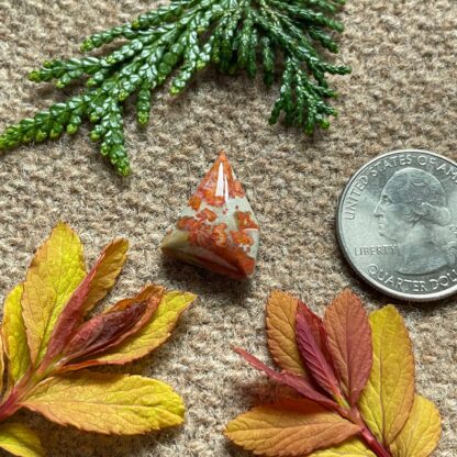 Floral Jasper