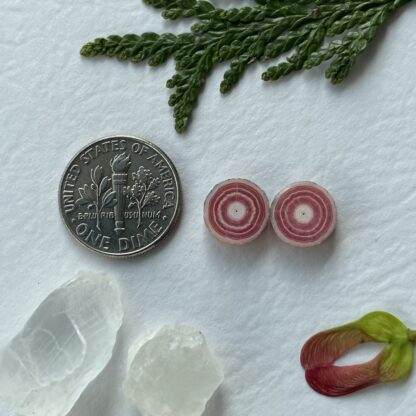 Rhodochrosite Stalactite Slices