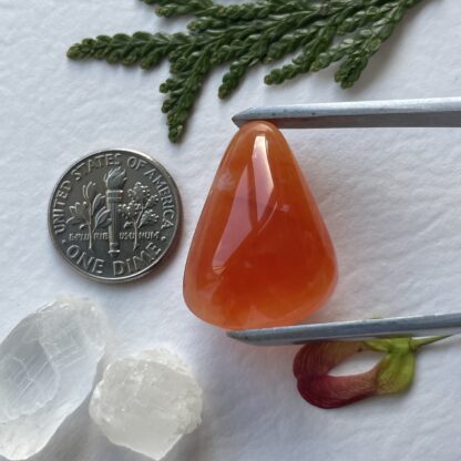 Carnelian - Image 2